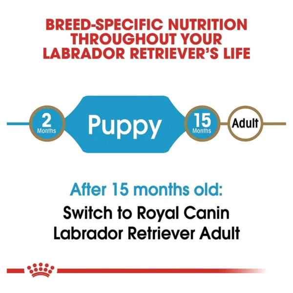 Royal Canin Labrador Retriever Puppy Food, Labrador Retriever Puppy Food, Dog food, puppy food